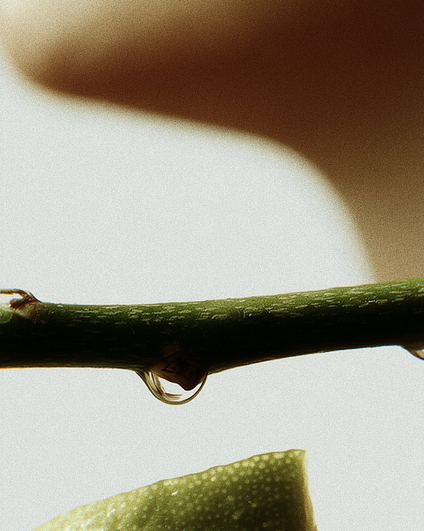 DAILY HERBAL COOL 涼感除臭噴霧