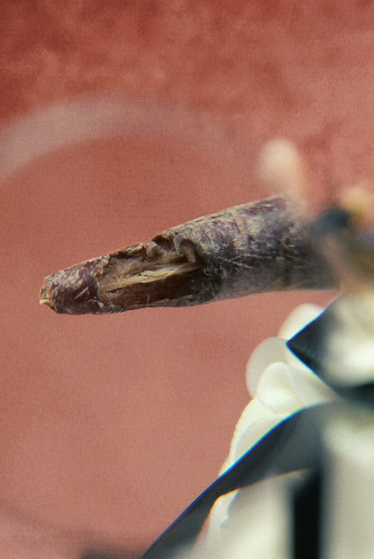 歷梵Lava Eau de Parfum